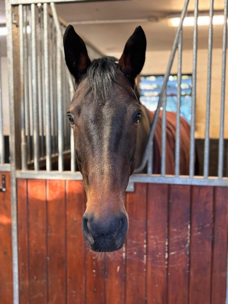 Lexi (7YO)